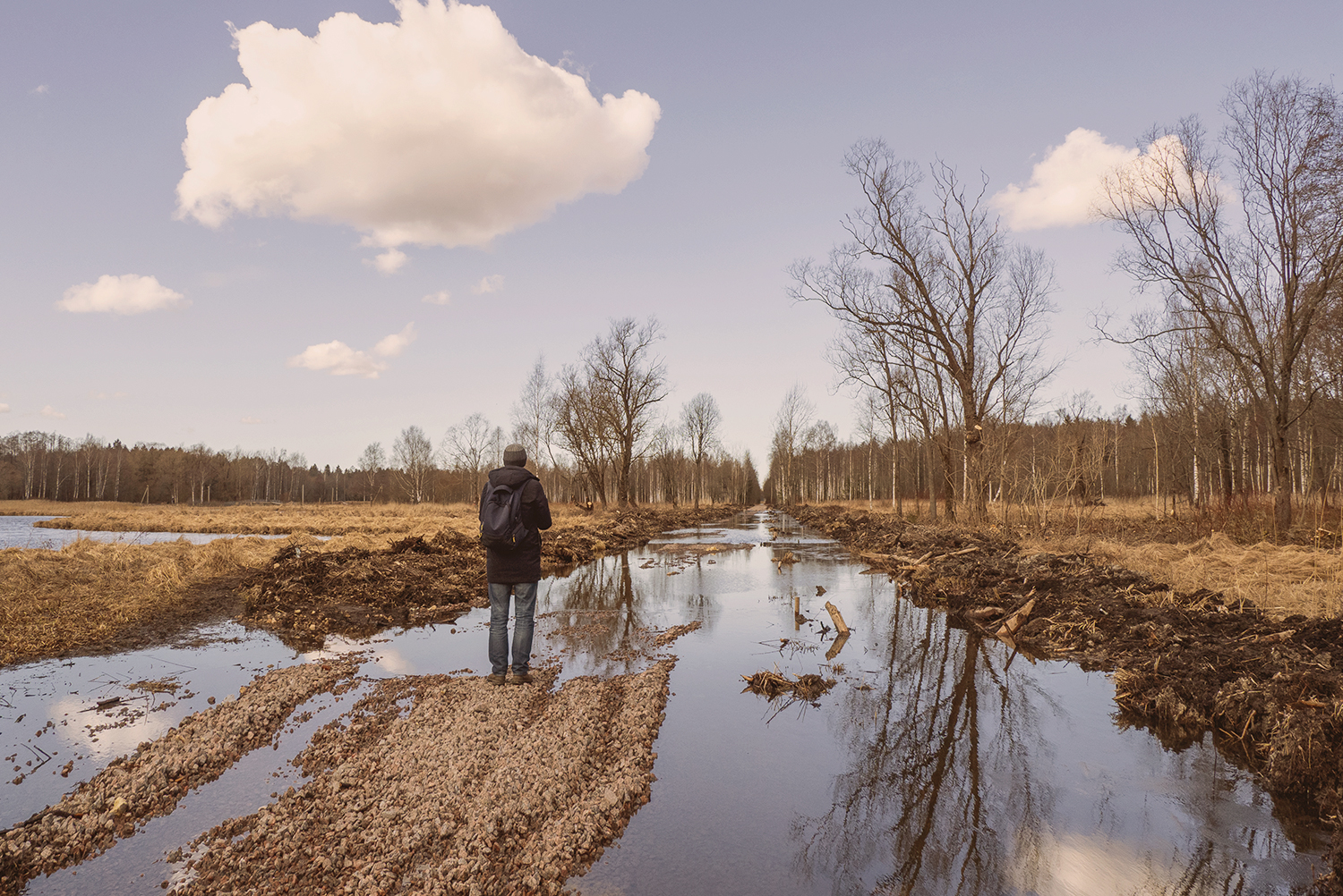 Researcher observing a restored peatland drainage canal, inviting collaboration with the ForPeat team