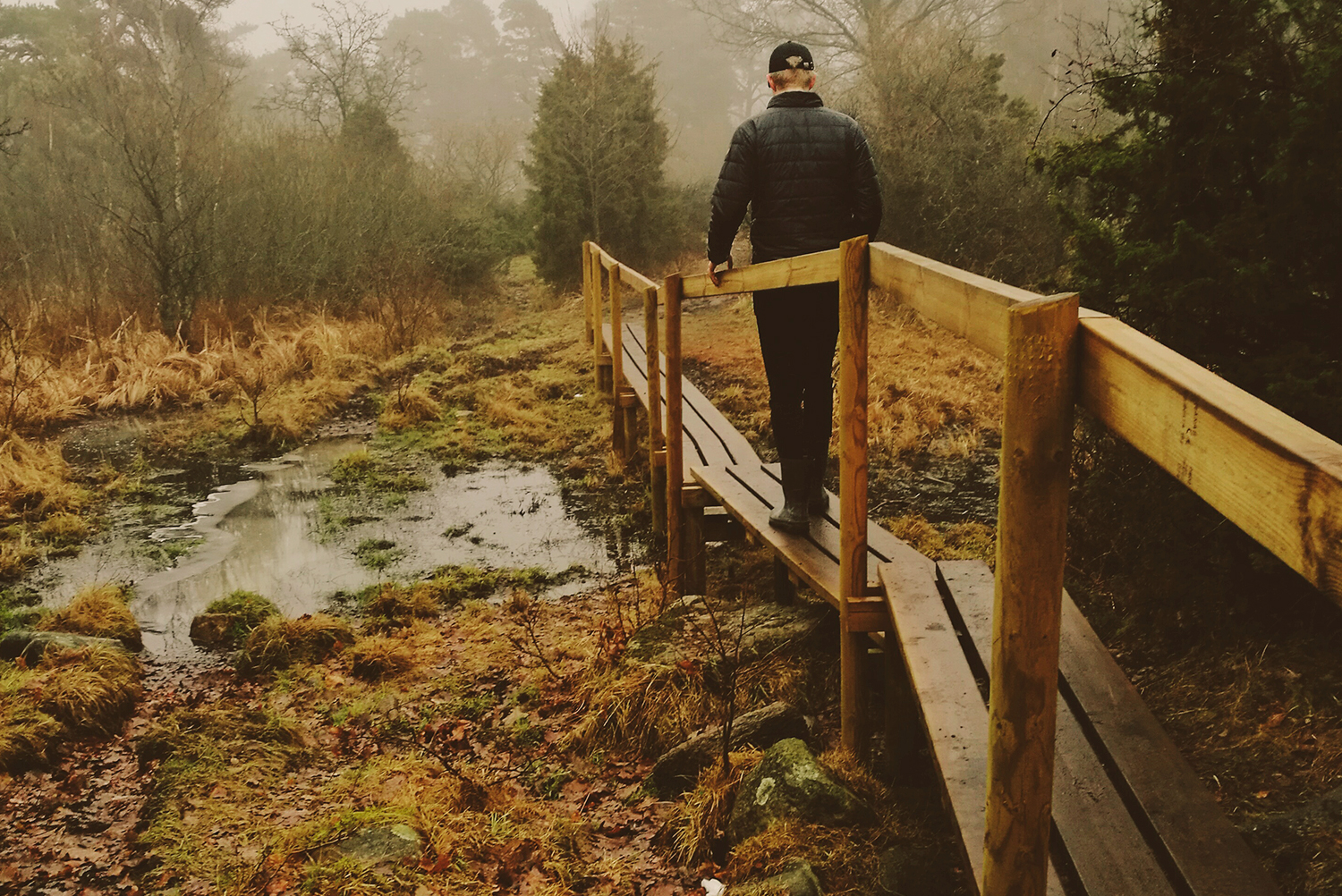 Person walking along a wooden boardwalk in a restored wetland, representing field-based project results