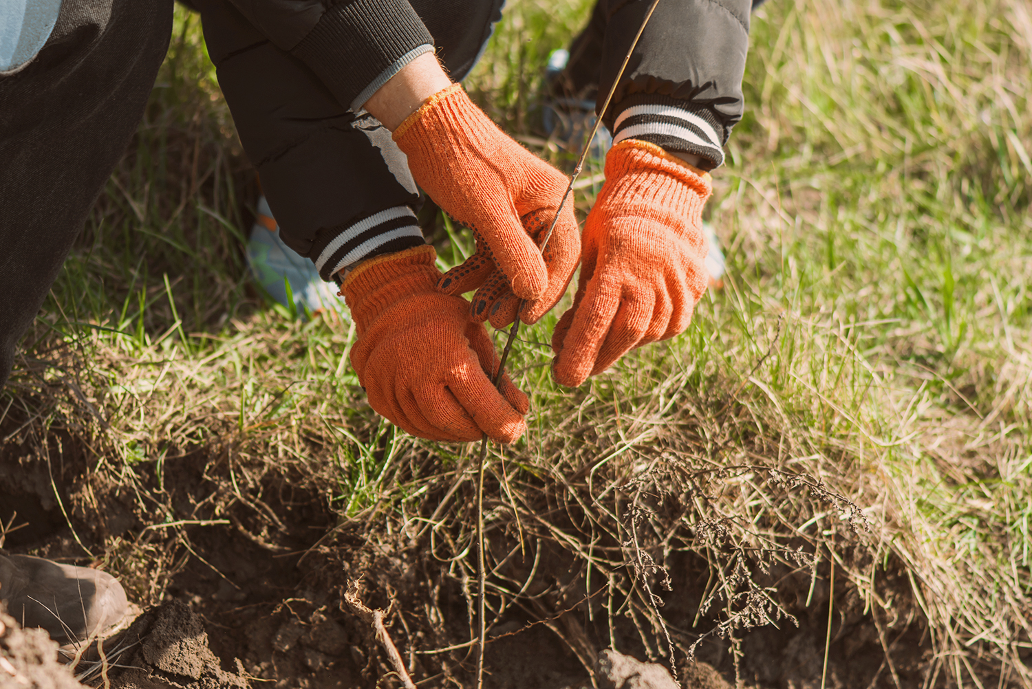 Peatland sampling