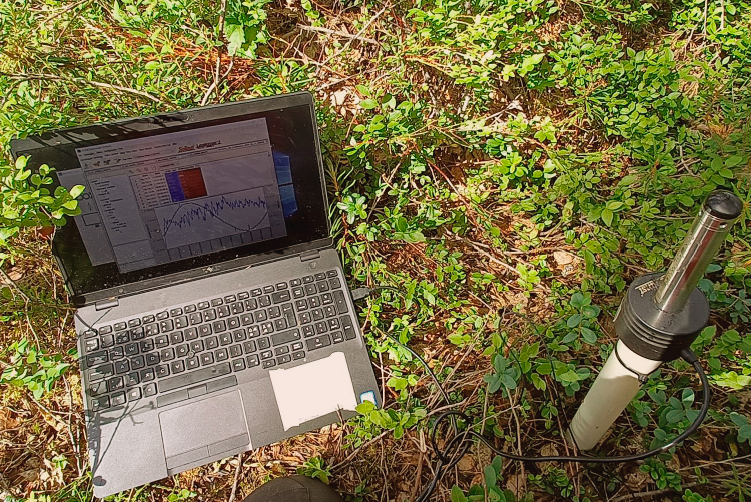 Laptop displaying monitoring data beside a field sensor placed on low vegetation during peatland monitoring work