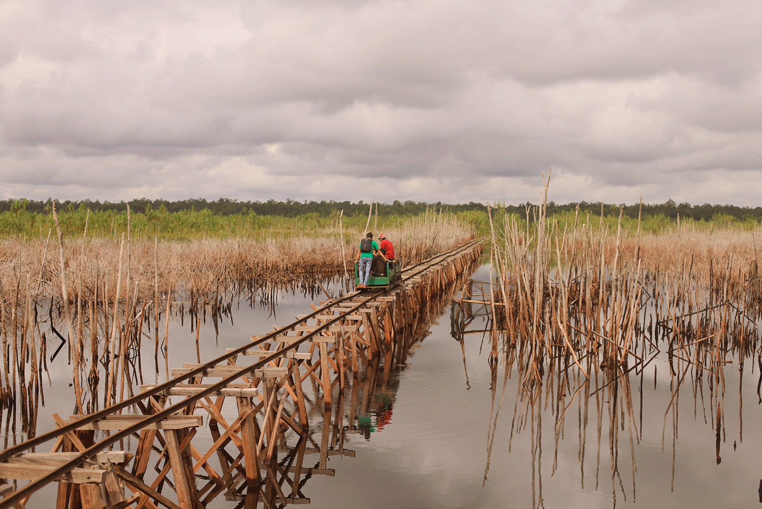 Researchers travelling on a narrow railway through a drained peatland, illustrating global peatland restoration projects
