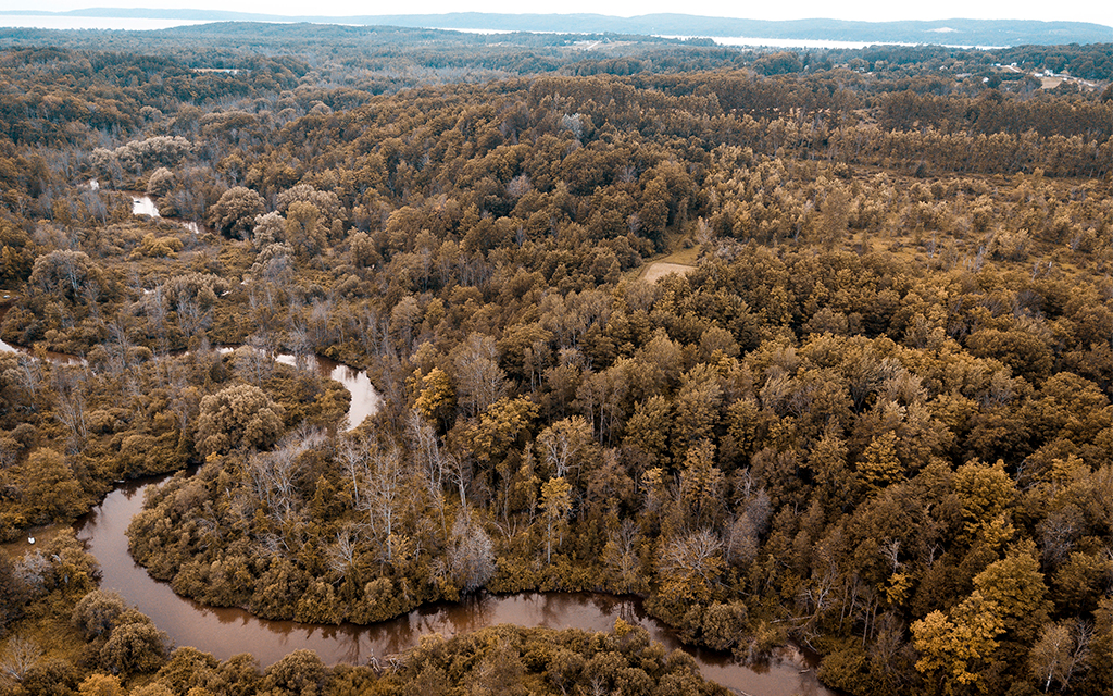 Peatland aerial picture